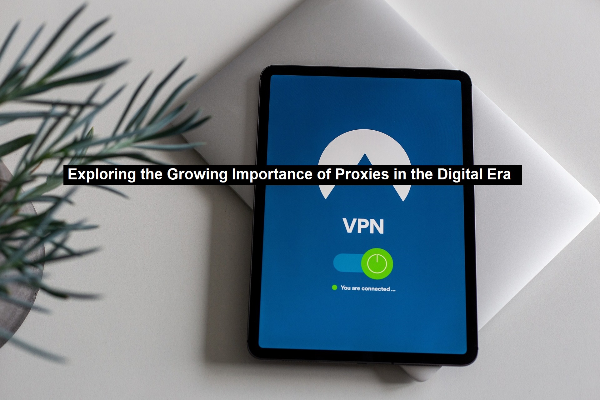 Importance of Proxies